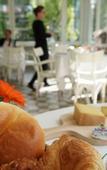 Туры в отель Signau House & Garden