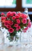 Туры в отель Signau House & Garden
