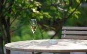 Туры в отель Signau House & Garden