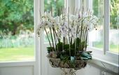 Туры в отель Signau House & Garden