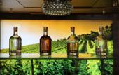 Туры в отель Hotel Seehof Superior