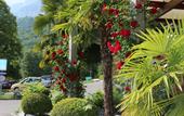 Туры в отель Hotel Seehof Superior