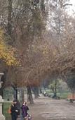 Туры в отель Hotel los Espanoles Plus
