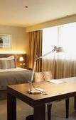 Туры в отель Hotel los Espanoles Plus