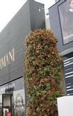 Туры в отель Hotel los Espanoles Plus