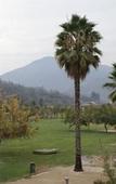 Туры в отель Hotel los Espanoles Plus