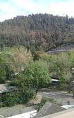 Туры в отель Hotel los Espanoles Plus