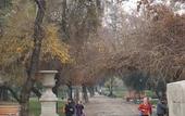 Туры в отель Teclados Hotel