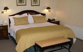 Туры в отель Teclados Hotel
