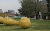 Туры в отель Teclados Hotel