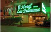 Туры в отель Las Palmeras
