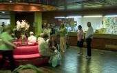 Туры в отель Hotel Palia Las Palomas