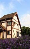 Туры в отель Shanghai Sun Island Resorts