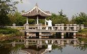 Туры в отель Shanghai Sun Island Resorts