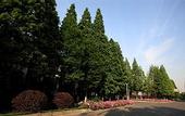 Туры в отель Shanghai Sun Island Resorts