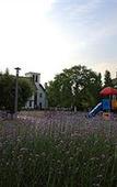 Туры в отель Shanghai Sun Island Resorts