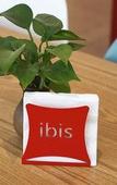 Туры в отель Ibis Hotel (Shanghai New International Expo Center FangDian Road Subway Station)