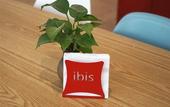 Туры в отель Ibis Hotel (Shanghai New International Expo Center FangDian Road Subway Station)