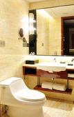 Туры в отель Grand Soluxe Zhongyou Hotel Shenzhen