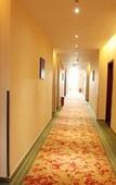Туры в отель GreenTree Inn
