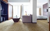 Туры в отель Yuwa Hotel(Guangzhou East Railway Station)