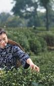 Туры в отель GINLAN JIA Resort Longjing Hangzhou