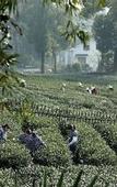Туры в отель GINLAN JIA Resort Longjing Hangzhou