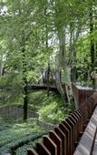 Туры в отель Millennium Resort Hangzhou