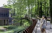 Туры в отель Millennium Resort Hangzhou