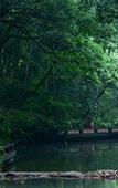 Туры в отель Millennium Resort Hangzhou
