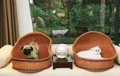 Туры в отель Millennium Resort Hangzhou