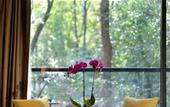 Туры в отель Millennium Resort Hangzhou