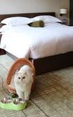 Туры в отель Millennium Resort Hangzhou