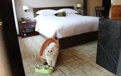 Туры в отель Millennium Resort Hangzhou