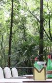 Туры в отель Millennium Resort Hangzhou