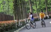 Туры в отель Millennium Resort Hangzhou