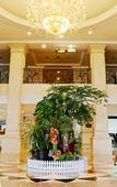 Туры в отель Country Garden Holiday Resort Shunde Foshan