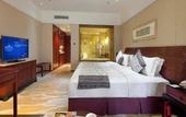 Туры в отель Howard Johnson Conference Resort Chengdu
