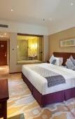 Туры в отель Howard Johnson Conference Resort Chengdu