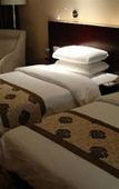 Туры в отель Dingye New Century Hotel Nanjing