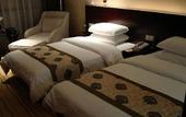 Туры в отель Dingye New Century Hotel Nanjing