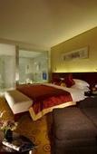 Туры в отель Dingye New Century Hotel Nanjing