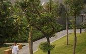 Туры в отель Kayumanis Nanjing Private Villa & Spa