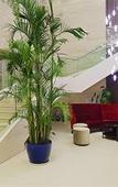 Туры в отель Holiday Inn Express SUZHOU CHANGJIANG by IHG