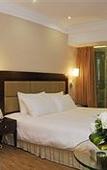 Туры в отель Poly Hotel