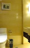 Туры в отель Junyi Dynasty Hotel