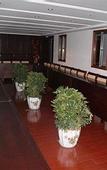 Туры в отель GreenTree Hotel (Yancheng High-Speed Railway Station Shuijie)