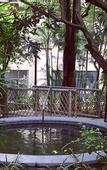 Туры в отель Richwood Garden Hotel