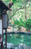 Туры в отель Richwood Garden Hotel
