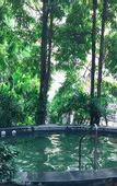 Туры в отель Richwood Garden Hotel